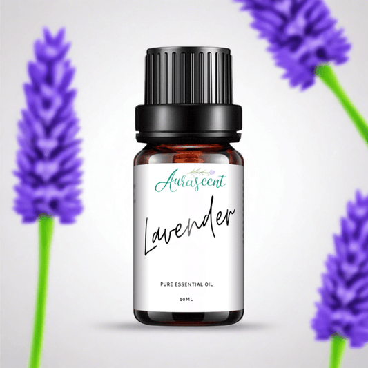 Pure Australian Lavender Essential Oil - 10mL
